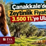 Canakkale-Tarim-Arazilerinde-Fiyat-Artisi-Dikkat-Cekiyor-featured