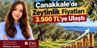 Canakkale-Tarim-Arazilerinde-Fiyat-Artisi-Dikkat-Cekiyor-featured